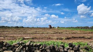제주시 한림읍 귀덕리 매물 대표 이미지