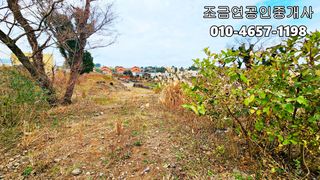 제주시 조천읍 선흘리 매물 대표 이미지