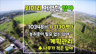 서귀포시 남원읍 위미리 매물 대표 이미지