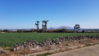 서귀포시 대정읍 영락리 매물 대표 이미지