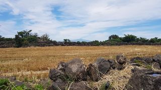 제주시 한경면 청수리 매물 대표 이미지