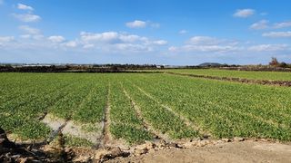 서귀포시 대정읍 무릉리 매물 대표 이미지