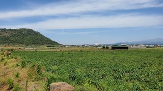 제주시 한경면 고산리 매물 대표 이미지