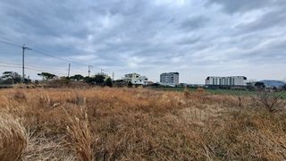 서귀포시 대정읍 동일리 매물 대표 이미지