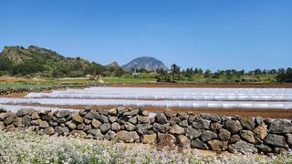 서귀포시 대정읍 상모리 매물 대표 이미지