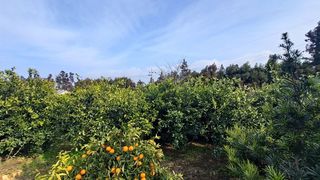 서귀포시 안덕면 덕수리 매물 대표 이미지