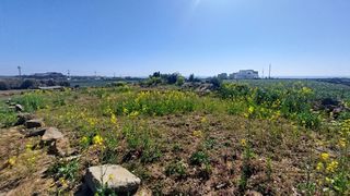 서귀포시 대정읍 신도리 매물 대표 이미지