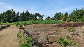 서귀포시 안덕면 동광리 매물 대표 이미지