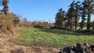 서귀포시 안덕면 동광리 매물 대표 이미지