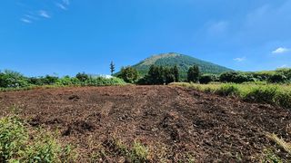 제주시 구좌읍 세화리 매물 대표 이미지