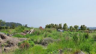 서귀포시 대포동 매물 대표 이미지