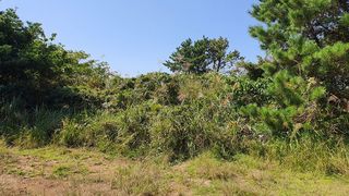 제주시 한림읍 상대리 매물 대표 이미지