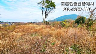 제주시 조천읍 선흘리 매물 대표 이미지