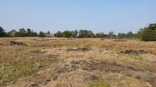 제주시 구좌읍 행원리 매물 대표 이미지