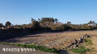 제주시 한경면 용수리 매물 대표 이미지