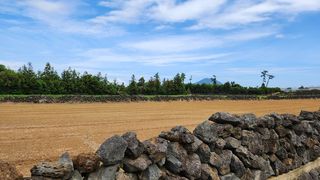 서귀포시 대정읍 보성리 매물 대표 이미지