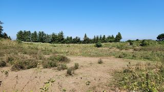 제주시 용강동 매물 대표 이미지