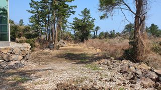 제주시 구좌읍 세화리 매물 대표 이미지