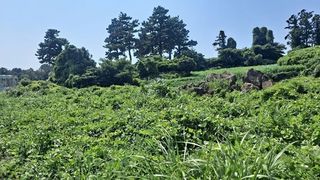 서귀포시 대포동 매물 대표 이미지