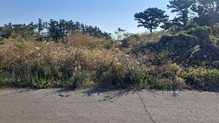 제주시 한경면 두모리 매물 대표 이미지