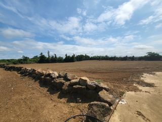 서귀포시 대정읍 신평리 매물 대표 이미지