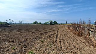 서귀포시 대정읍 동일리 매물 대표 이미지