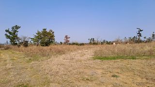 서귀포시 대정읍 영락리 매물 대표 이미지