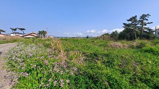 제주시 한림읍 옹포리 매물 대표 이미지