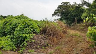 제주시 한림읍 명월리 매물 대표 이미지