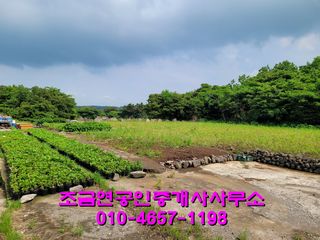 제주시 구좌읍 덕천리 매물 대표 이미지