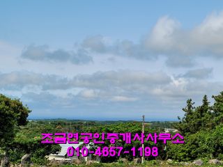 제주시 구좌읍 송당리 매물 대표 이미지
