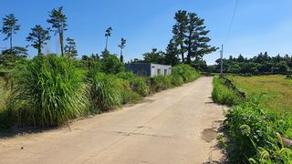 서귀포시 대정읍 보성리 매물 대표 이미지