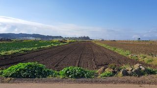 서귀포시 대정읍 상모리 매물 대표 이미지