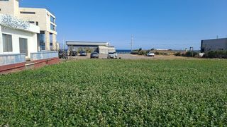 서귀포시 대정읍 상모리 매물 대표 이미지