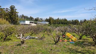 서귀포시 대포동 매물 대표 이미지