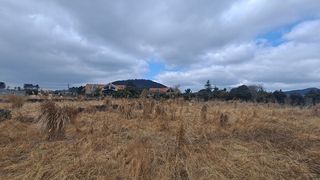 제주시 조천읍 선흘리 매물 대표 이미지