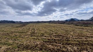 제주시 구좌읍 세화리 매물 대표 이미지