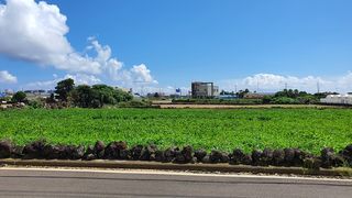 서귀포시 대정읍 일과리 매물 대표 이미지