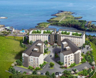 제주시 조천읍 신촌리 매물 대표 이미지