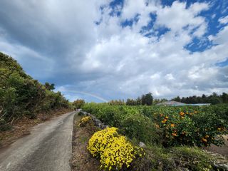 제주시 조천읍 함덕리 매물 대표 이미지