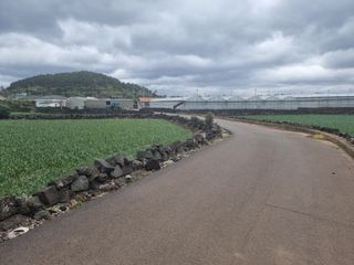 서귀포시 대정읍 신도리 매물 대표 이미지