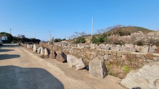 제주시 삼양이동 매물 대표 이미지