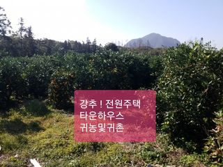 서귀포시 안덕면 덕수리 매물 대표 이미지
