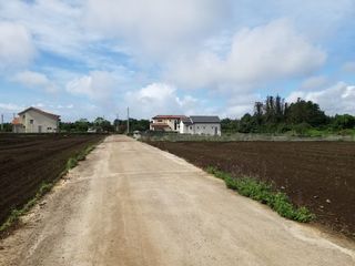 서귀포시 성산읍 신풍리 매물 대표 이미지