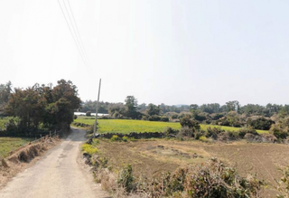 서귀포시 성산읍 시흥리 매물 대표 이미지