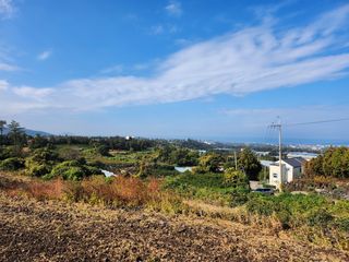 제주시 애월읍 납읍리 매물 대표 이미지