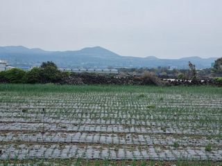 제주시 애월읍 곽지리 매물 대표 이미지