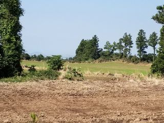 서귀포시 안덕면 동광리 매물 대표 이미지