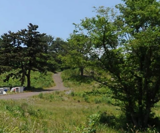 제주시 애월읍 소길리 매물 대표 이미지