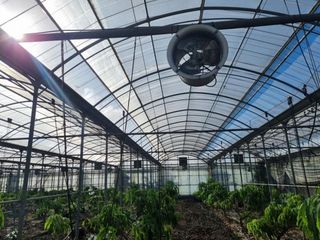 서귀포시 대정읍 일과리 매물 대표 이미지